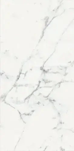 ORIGINES DE REX BLANC MAT 6MM 60X120 R