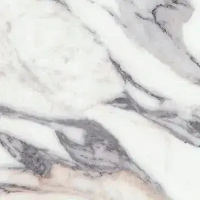 ORIGINES DE REX ARGENT MATTE 60X60 RETT