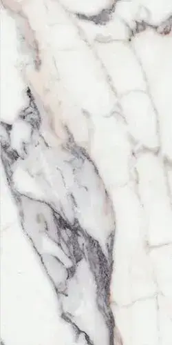 ORIGINES DE REX ARGENT MATTE 60X120 RETT