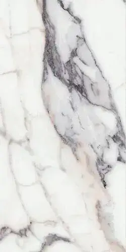 ORIGINES DE REX ARGENT GLOSSY 6MM 60X120 R