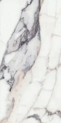 ORIGINES DE REX ARGENT MAT 6MM 60X120 R