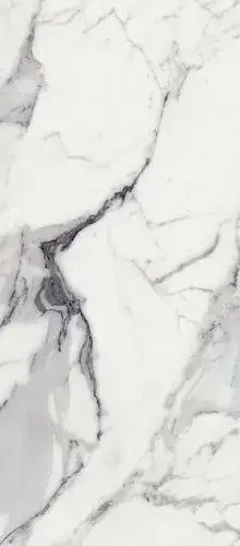 LES ORIGINES DE REX ARGENT MAT 80X180 RT