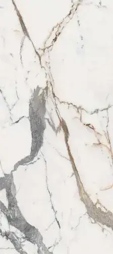 LES ORIGINES DE REX OR MAT 80X180 RET