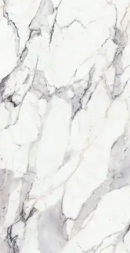 ORIGINES DE REX ARGENT MAT 6MM 120X240 R