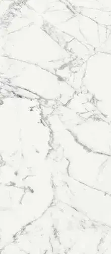 LES ORIGINES DE REX BLANCHE GLOSSY 80X180RT