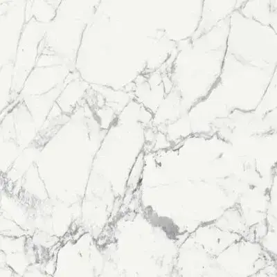 ORIGINES DE REX BLANC MAT 6MM 120X120 R