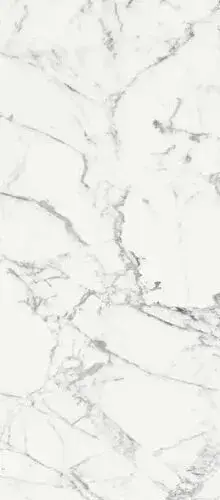 LES ORIGINES DE REX BLANCHE MAT 80X180RT