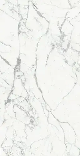 ORIGINES DE REX BLANC GLOSSY 6MM 120X240 R