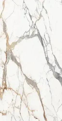 ORIGINES DE REX OR GLOSSY 6MM 120X240 R