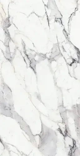 ORIGINES DE REX ARGENT MAT 6MM 120X280 R