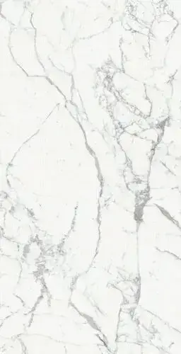 ORIGINES DE REX BLANC MAT 6MM 120X240 R