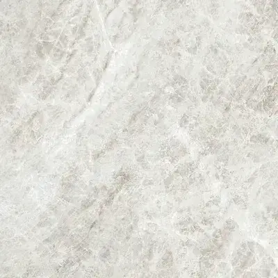 ICONIC LIFE RICE YAMUNA GLOSSY 60x60 RET