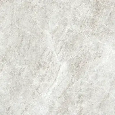 ICONIC LIFE RICE YAMUNA GLOSSY 80x80 RET