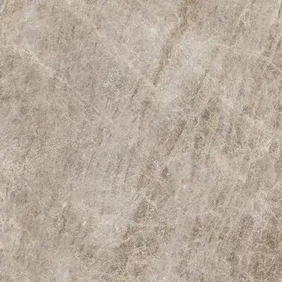 ICONIC LIFE OPAL YAMUNA SILK 6MM 120X120 R