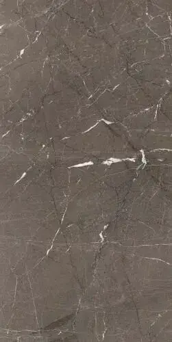 HERITAGE BROWN GLOSSY 6MM 60X120 RET