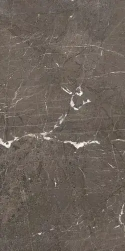 HERITAGE LUXE BROWN GLOSS.9MM 60X120 RET