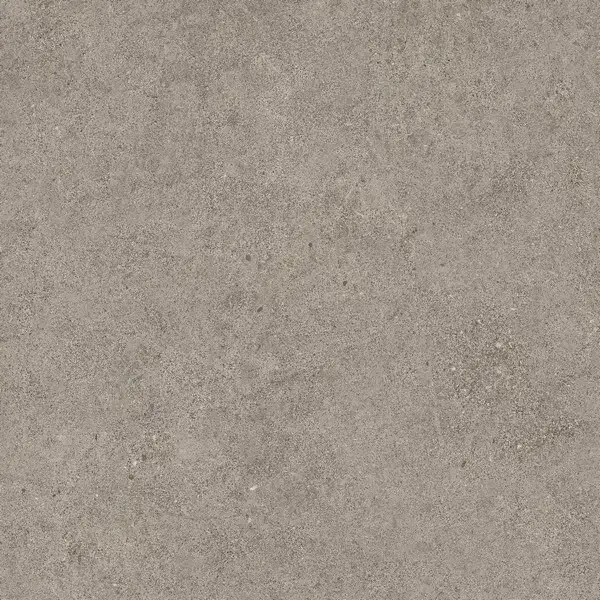 Forte Dei Marmi Rock Lunar Grey 60x60 LASTRA 20mm