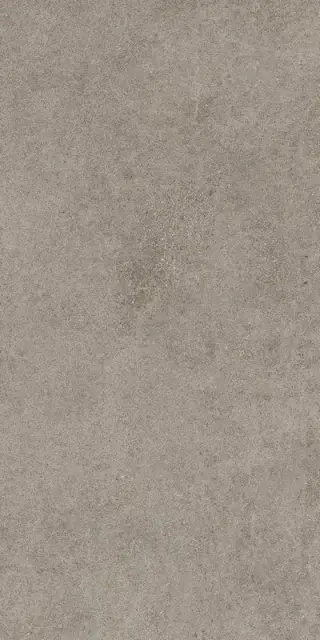 Forte Dei Marmi Rock Lunar Grey 60x120 LASTRA 20mm
