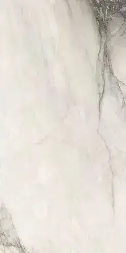 ETOILE RENOIR GLOSSY 6MM 60X120 RET