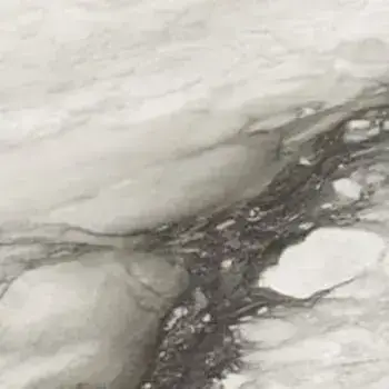 ETOILE RENOIR GLOSSY 6MM 120X120 RET