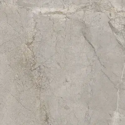 Elements Lux Silver Grey 60X60 Lappato