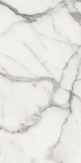 Elements Lux Calacatta 60X120 NAT