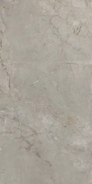 Elements Lux Silver Grey 60X120 Silk