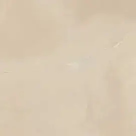 Charme Evo Onyx Nat Rett 60x60 (610010000780)