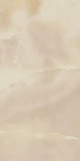 Charme Evo Onyx Nat Rett 60x120 (610010001412)