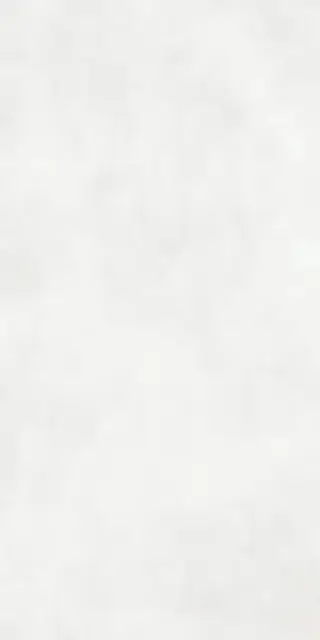 Calce Bianco 162х324 20+