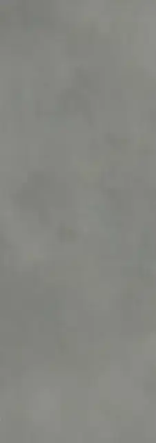 Calce Tortora 100х300 3+