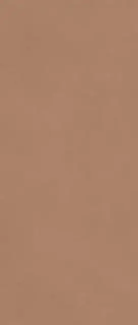 Boost Expression Sienna 50x120