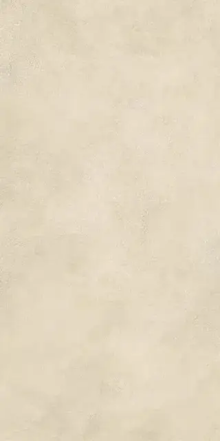 Boost Expression Camel 60x120