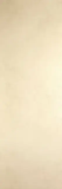 Blend Avorio 100х300 5