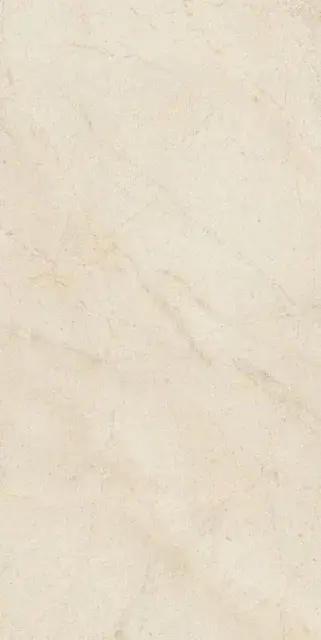 BIOTECH CREMA STONE GRP 20MM 60x120 RET