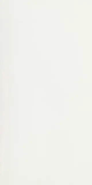 B&W WHITE HIGH-GLO 60X120 RET