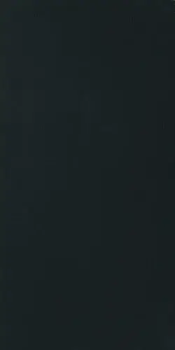 B&W BLACK NATURALE 6MM 160X320 RET