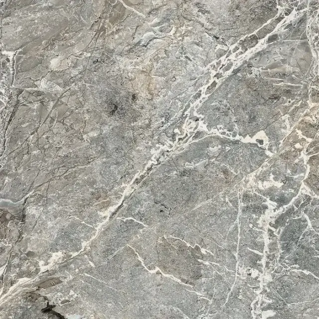 AUTHENTIC MARBLE AUBISQUE GLOSSY 60x60 RET