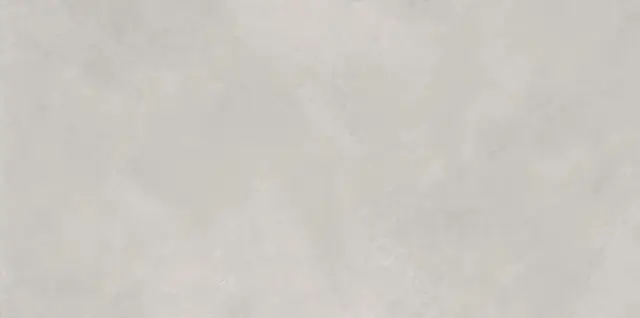 Newport Gris Matt 60x120