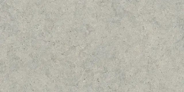 Forum Stone Silver 60x120