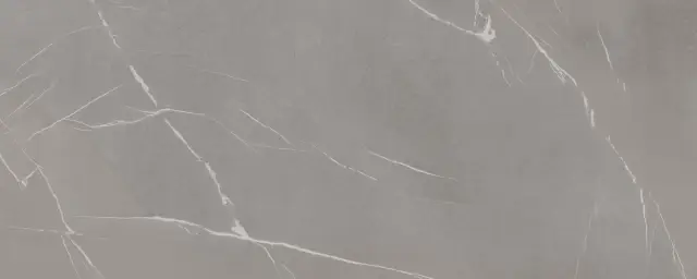 In Side Pietra Piasentina Grigio Fiammato 5.6 Mm 120x300