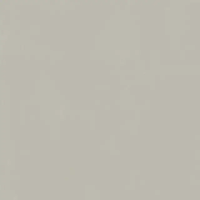 Italon Керамический гранит Forum Керамогранит Slim Silver 80x80 натуральный