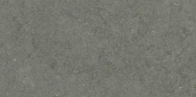 Italon Керамический гранит Forum Керамогранит Stone Iron 60x120 натуральный