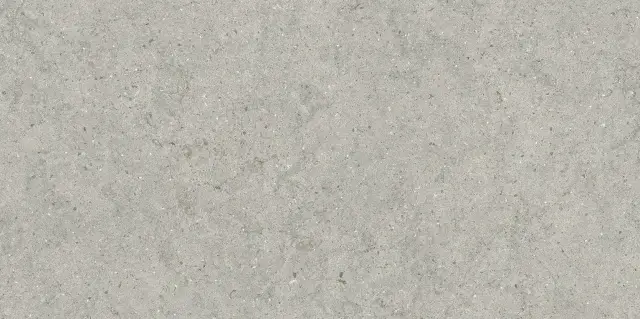 Italon Керамический гранит Forum Керамогранит Stone Silver 60x120 натуральный