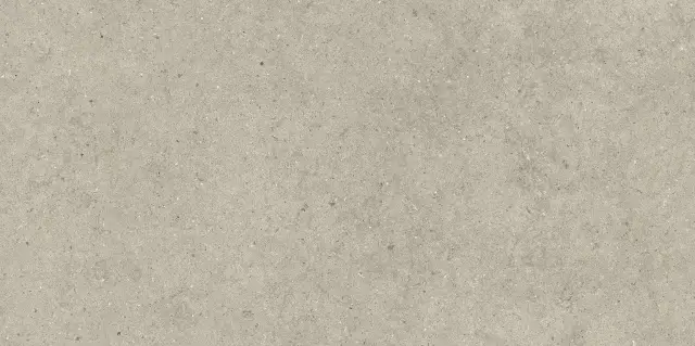 Italon Керамический гранит Forum Керамогранит Stone Desert 60x120 натуральный