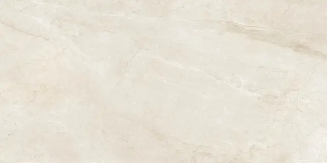 CR.WELLS M IVORY MATE RECTIFICADO 60x120(n) 9 мм