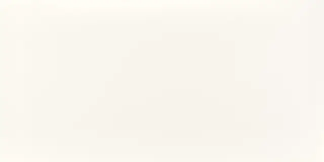 Super White Matt 60x120