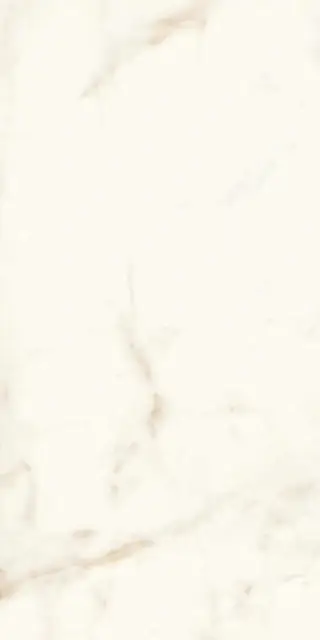 Marvel Calacatta Delicato Lappato|60x120