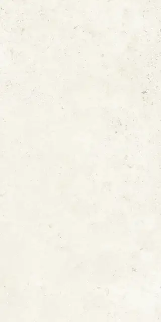 LITHOTEKE FRENCH ST HONED RT 60X120