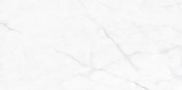 Calacatta Fantasy Polished 60x120